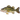 Бас