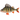 Костур