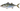Сафрид
