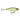 Rapala X-Rap Twitchin’ Shad 80 Slow Sinking