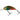 Воблер Salmo Rattlin’ Hornet Floating