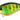 Duo Realis Crank Mid Roller 40F