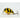 Sea Buzz Chub Bug 27F-SR – Воблер