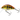 Salmo Image Tiny 3 Floating – Кранк воблер