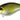 Duo Realis Crank Mid Roller 40F