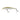 Golden Catch Hard Lure Raider 90SP
