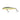 Golden Catch Hard Lure Raider 70SP