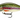 Goldy KINGFISHER 45S