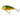 Salmo Butcher 5 Sinking – Кранк воблер